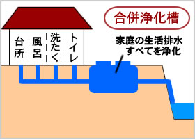 �����򉻑�