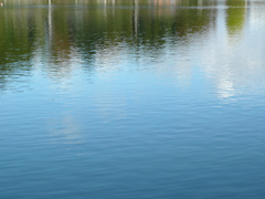 ������