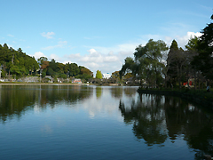 ����������