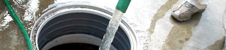 �򉻑������T�C�N����