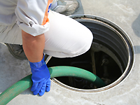 ���D���m�F���܂�