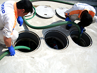 �X�J�����z�����܂�