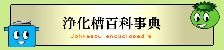 �򉻑��S�Ȏ��T